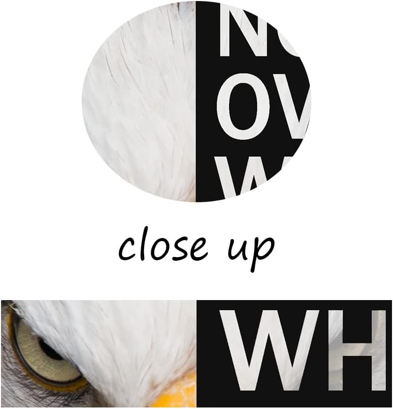 WYJZDZQ8 Eagle Inspirational Canvas Print Wall Art Animal Motivational Poster Animal Picture Painting Modern Inspiring Artwork for Home Living Room Office Decor Ready to Hang [18''W x 24''H]