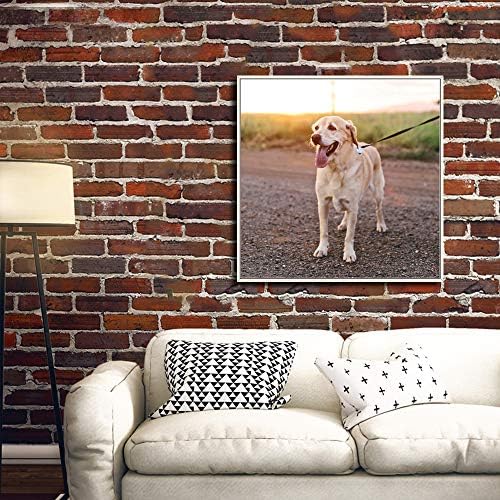 NWT Custom Framed Canvas Prints with Your Photo for Pets, Personalized Canvas Wall Art for Living Room, Bedroom - 16x16 inches