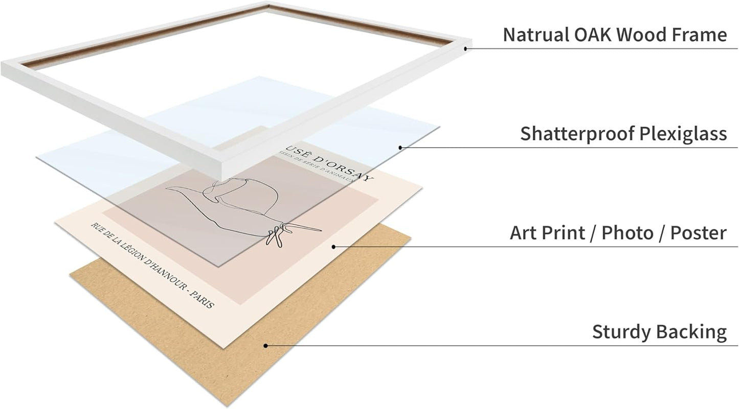 Poster Master Vintage Poster - Retro One Line Snail Drawing Print - Snail Line Art - Minimal Gift for Men, Women, Animal Lover - Abstract Wall Decor for Home, Office, 11x14 White Framed