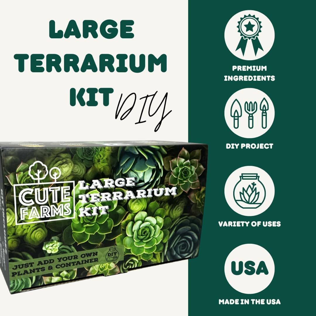 Cute Farms Terrarium Starter Kit | Moss, Vermiculite, Soil, Pebbles, Plant Food, Finishing Tools, Build and Care Guide | DIY Succulent Terrarium for Adults and Kids (Large + Live Plants)