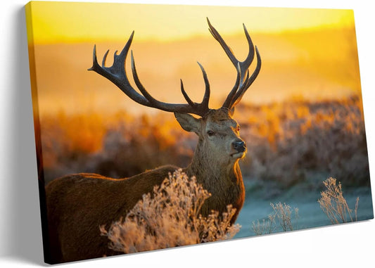 Personalized Custom Canvas Prints: 16L x 24W Photo On Canva Transform Your Photos into Stunning Framed Wall Art Digitally Printed Photo (16L x 24W, Framed)