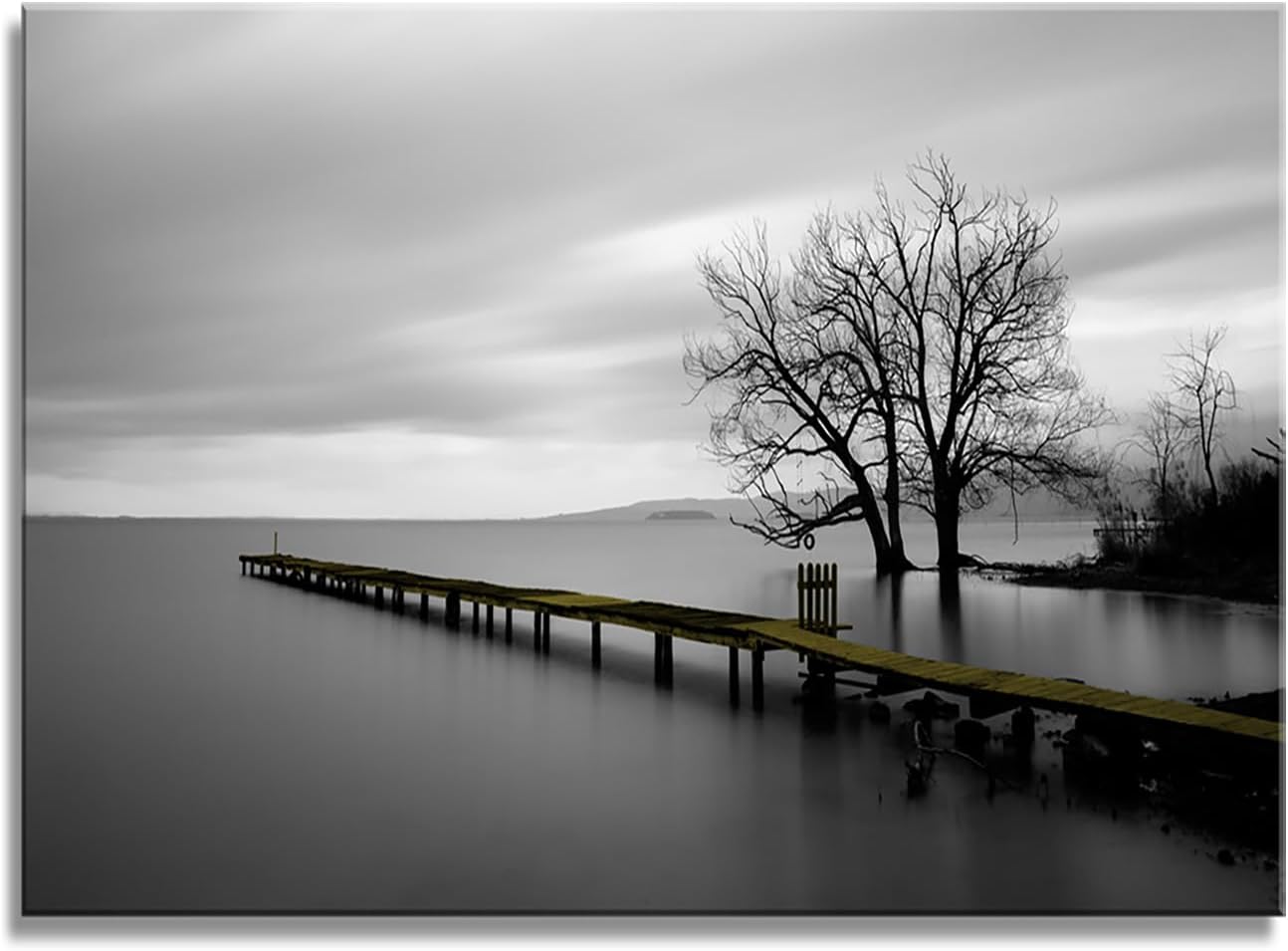 DZL Art S74981 Canvas Prints Modern Minimalist Black and White Lake Trees Landscape Wall Art Painting for Living Room Bedroom Decor Office Wall Decor Home Decoration