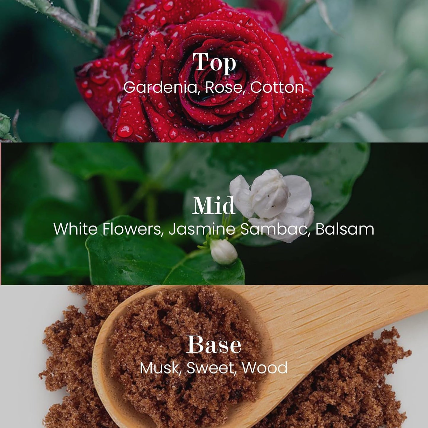 M&SENSE Natural Soy Candle| Rose & Lychee | 5.3 oz | Minimalist Scented Candle for Relaxation, Gifting, Home Décor | for Bedroom, Office, Party Small