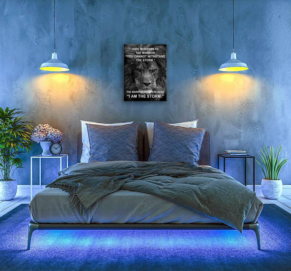 Motivational Canvas Wall Art Inspirational I Am The Storm Posters Modern Inspiring Quotes Success Pictures Positive Paintings Prints Artwork Home Wall Decor Office Gym Framed[18" W x 24" H]