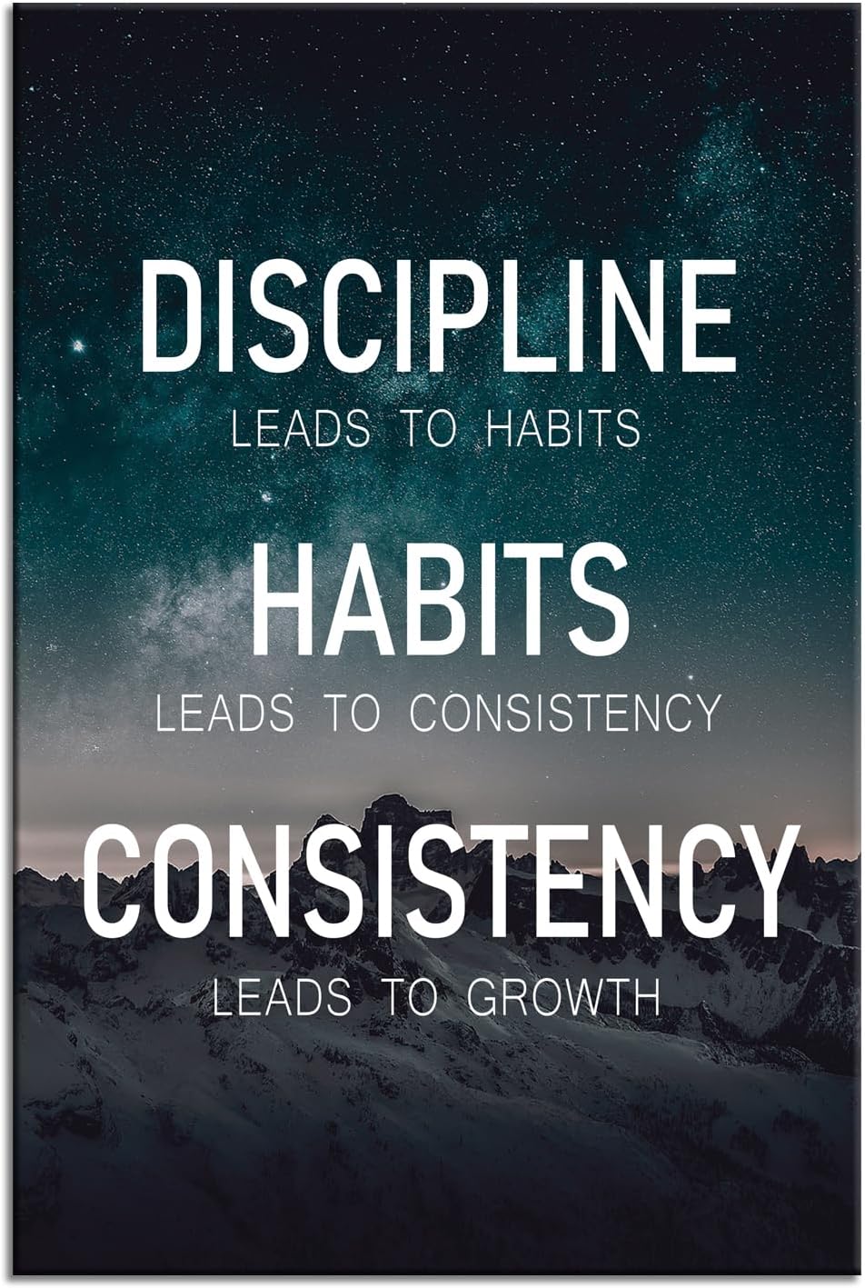 Discipline Habits Consistency Growth Motivational Wall Art Inspirational Poster Canvas Prints Artwork for Office Modern Home Decor Painting Pictures Stretched and Framed Ready to Hang [12''Wx 18''H]