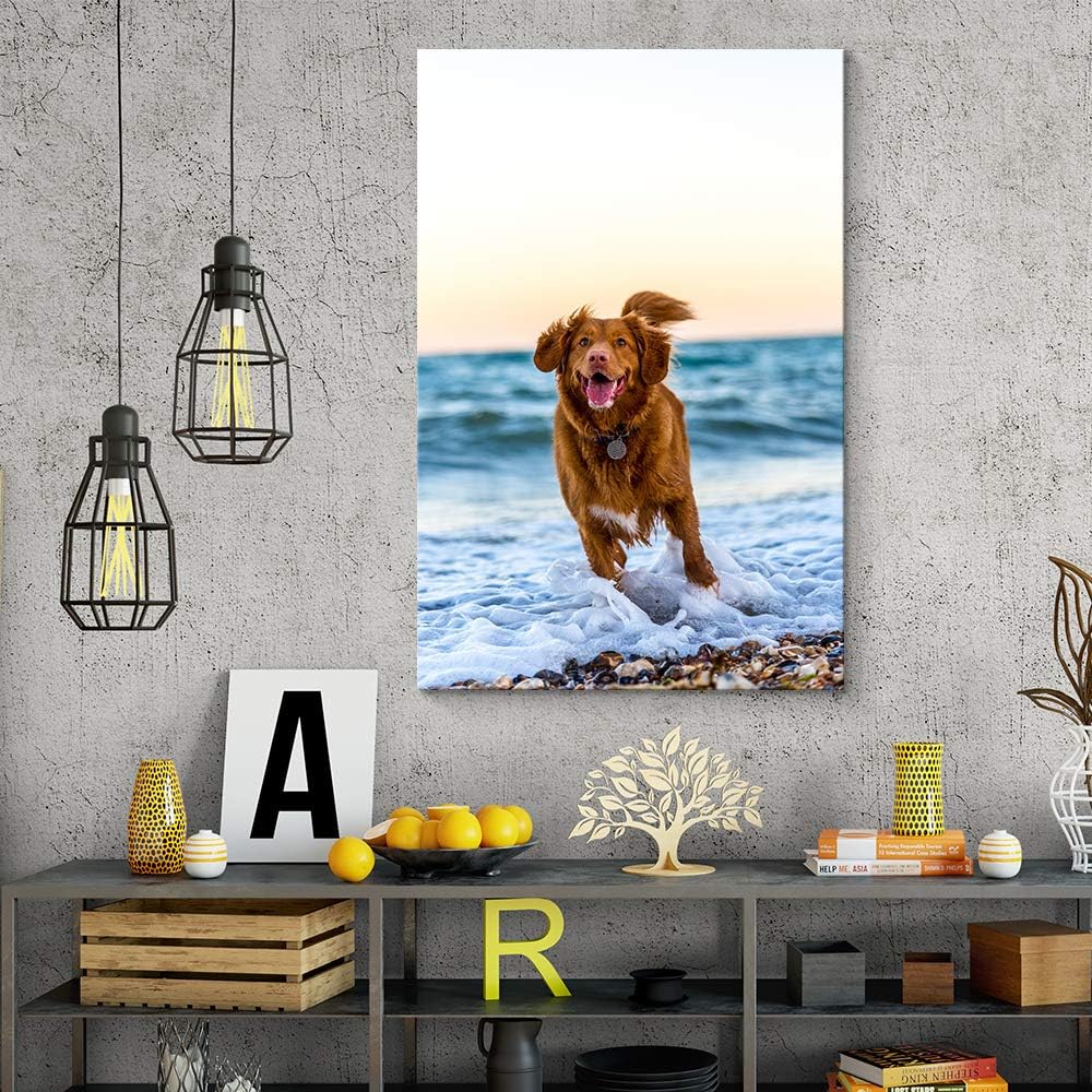 NWT Custom Canvas Prints with Your Photos for Pet/Animal, Personalized Pictures to Canvas for Wall Framed 10x8 inches