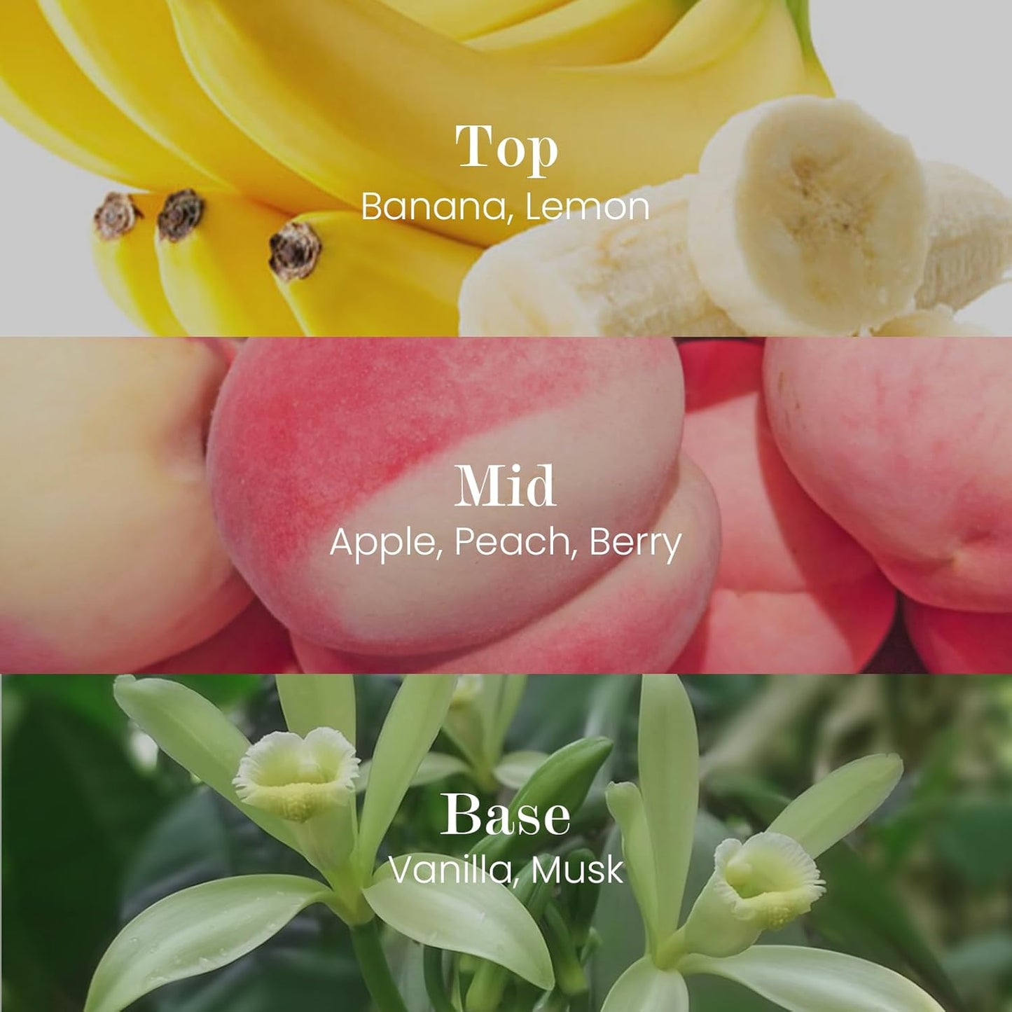 M&SENSE Natural Soy Candle| Fruit Nectar | 5.3 oz | Minimalist Scented Candle for Relaxation, Gifting, Home Décor | for Bedroom, Office, Party Small