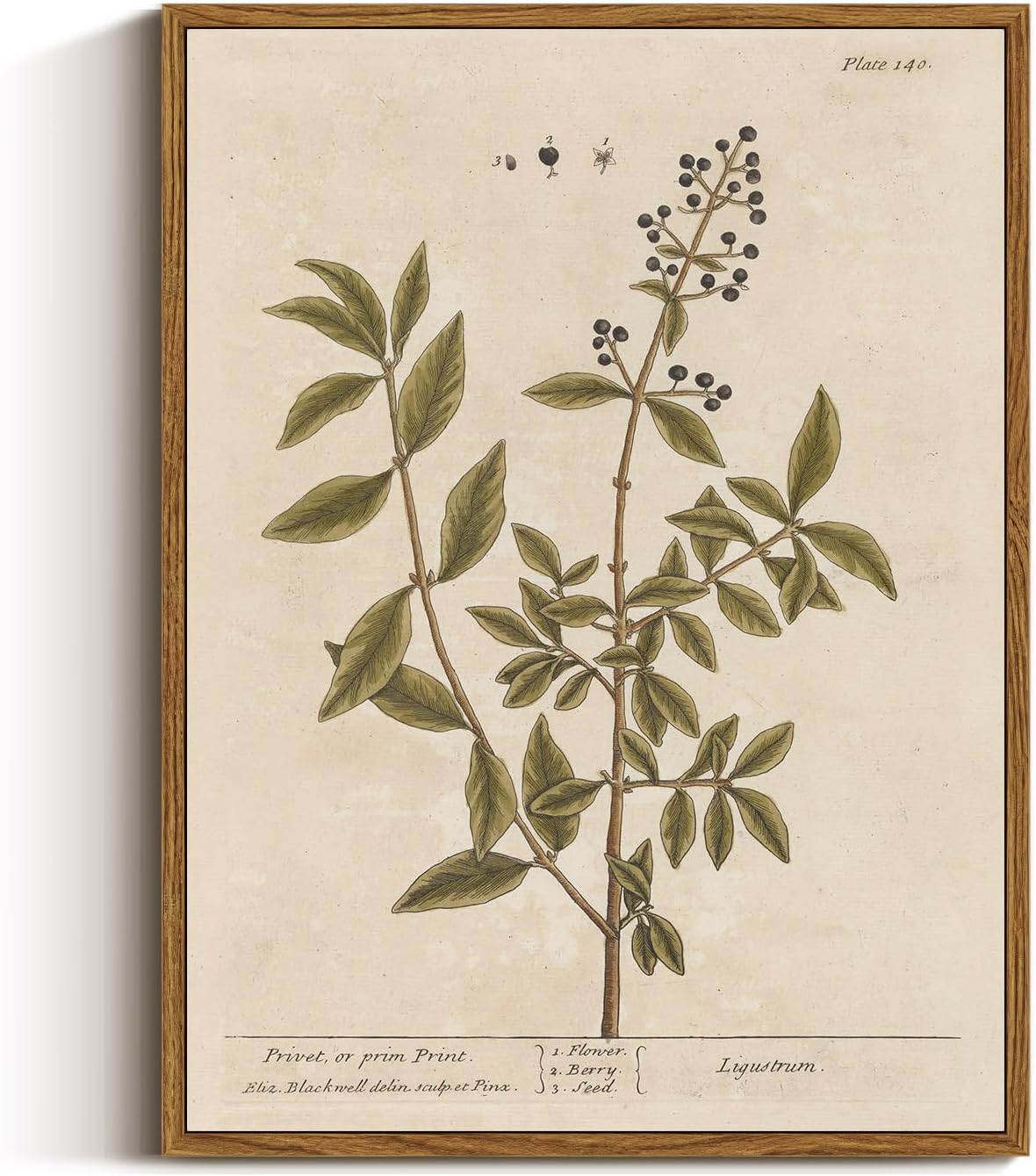 VIYYIEA Framed Canvas Wall Art Home Decor Boho Plant Wall Decor Minimalist Botanical Print Canvas Wall Art Pictures for Rustic Vintage Farmhouse Home Kitchen Room Decor 12x16in