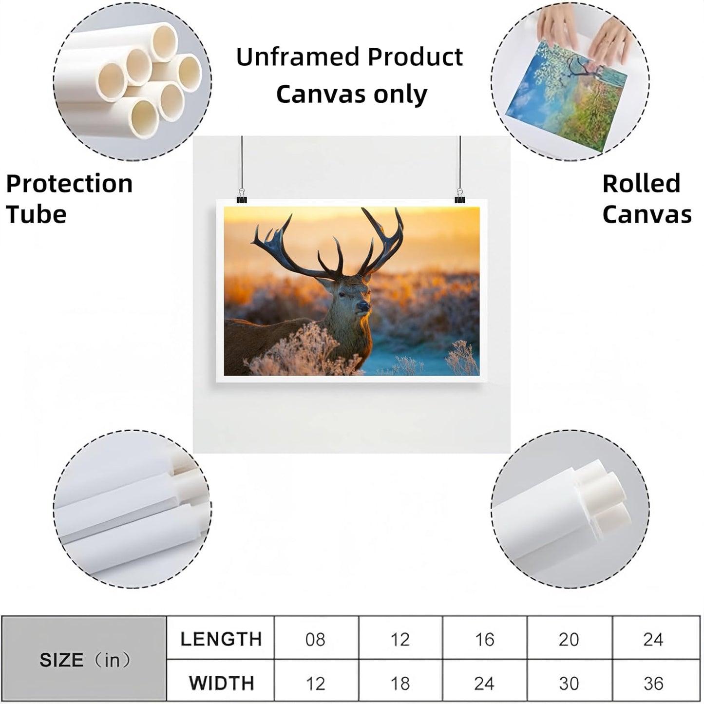 Personalized Custom Poster Prints: 12L x 18W Photo On Canva Transform Your Photos into Stunning Unframed Wall Art Digitally Printed (12L x 18W, Unframed)