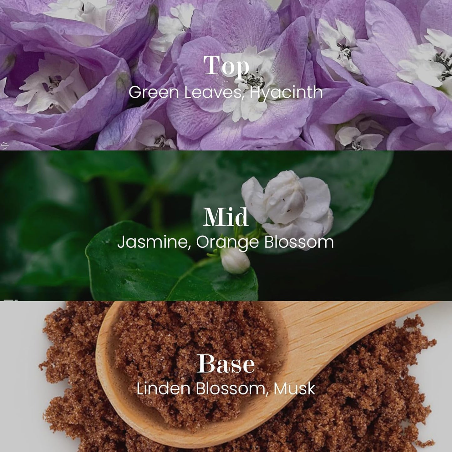 M&SENSE Natural Soy Candle| Bamboo Stream | 5.3 oz | Minimalist Scented Candle for Relaxation, Gifting, Home Décor | for Bedroom, Office, Party Small