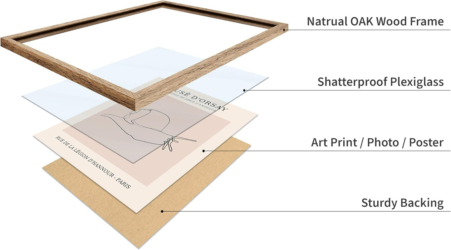 Poster Master Vintage Poster - Retro One Line Snail Drawing Print - Snail Line Art - Minimal Gift for Men, Women, Animal Lover - Abstract Wall Decor for Home, Office, 8x10 Beige Framed