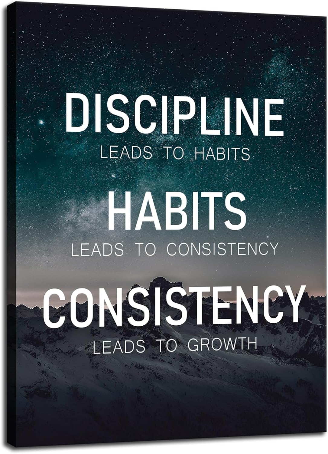Motivational Poster Discipline Habits Consistency Growth Inspirational Wall Art Canvas Prints Artwork for Office Modern Home Decor Painting Pictures Stretched and Framed Ready to Hang [30''Wx 40''H]