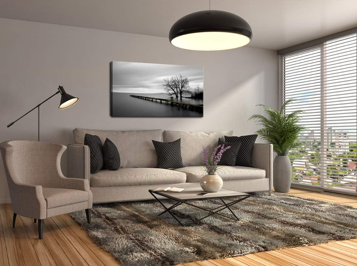 DZL Art S74975 Canvas Prints Modern Minimalist Black and White Lake Trees Landscape Wall Art Painting for Living Room Bedroom Decor Office Wall Decor Home Decoration