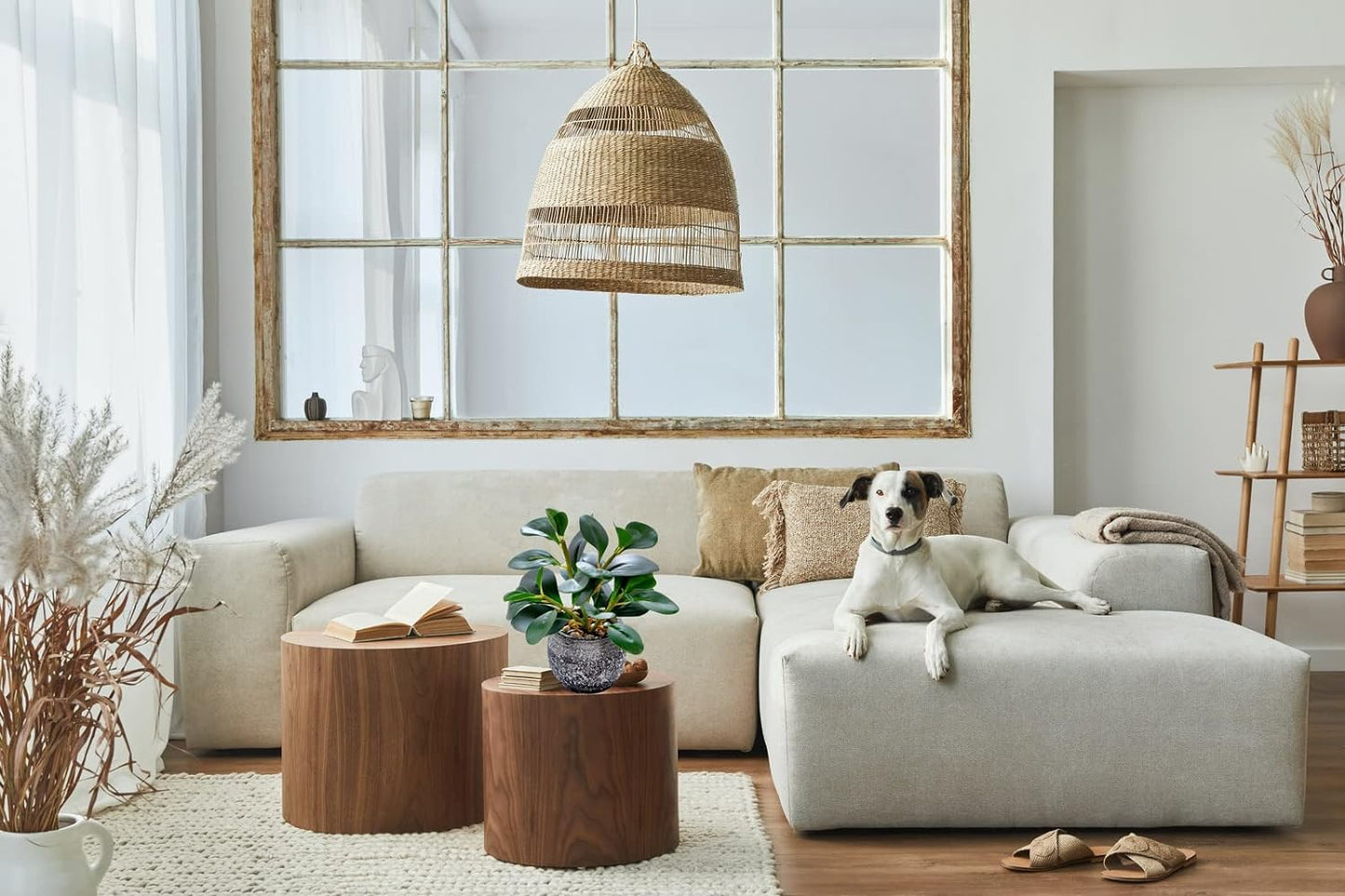 AlphaAcc Artificial Plants Potted Real Looking Small Faux Plant with Rustic Black Cement Planter for Kitchen Office Desk Bookshelf Decor (Ficus Plant)