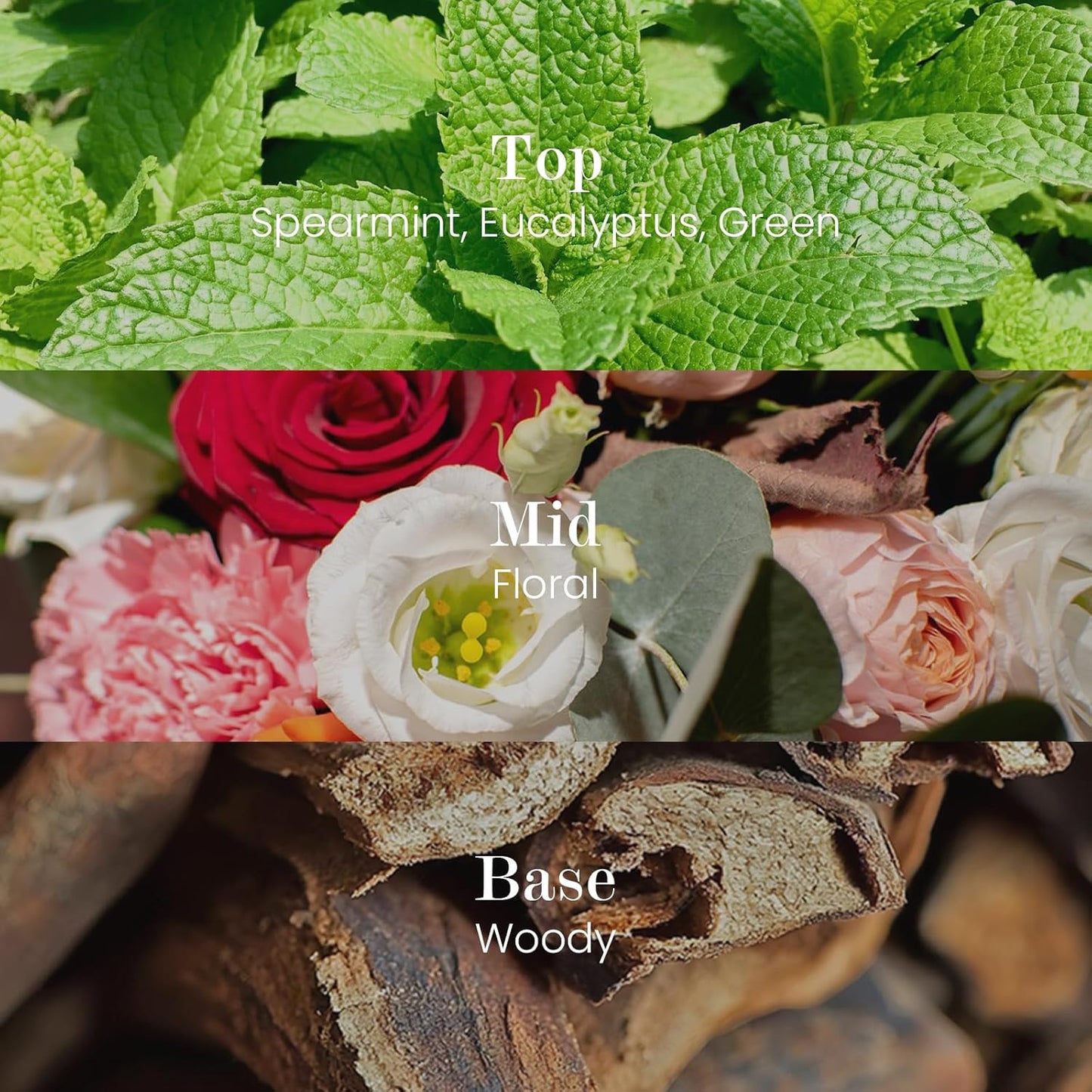 M&SENSE Natural Soy Candle| City Oasis | 5.3 oz | Minimalist Scented Candle for Relaxation, Gifting, Home Décor | for Bedroom, Office, Party Small