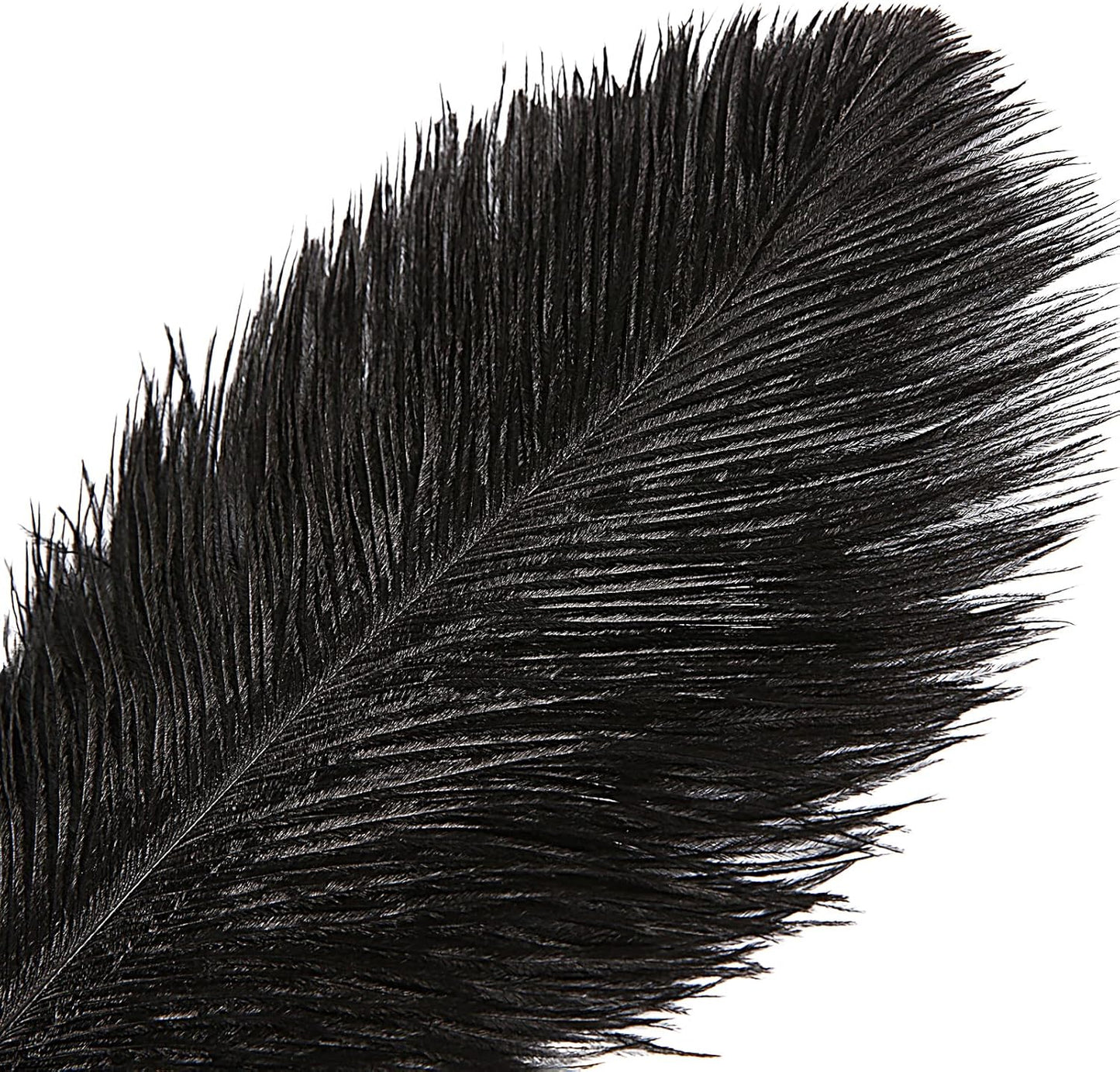 THARAHT Black Ostrich Feathers 12pcs Large Natural Bulk 14-16Inch 35cm-40cm for Wedding Party Centerpieces Halloween and Home Decoration Feathers