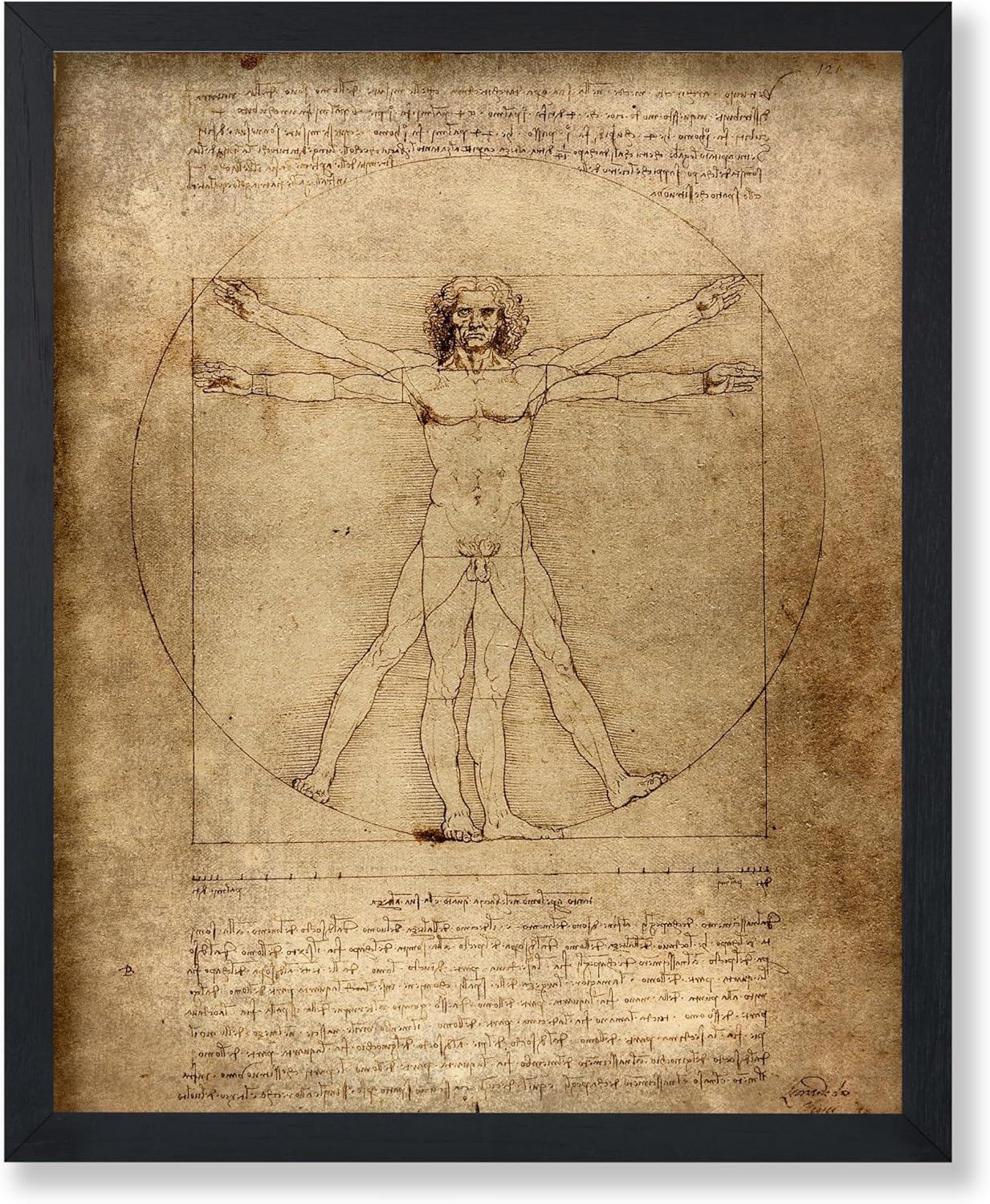 Poster Master Vintage Leonardo Da Vinci Poster - Retro Vitruvian Man Print - Drawing Art - Renaissance Art - Gift for Men & Women - Decor for Living Room, Bedroom or Office - 8x10 UNFRAMED Wall Art