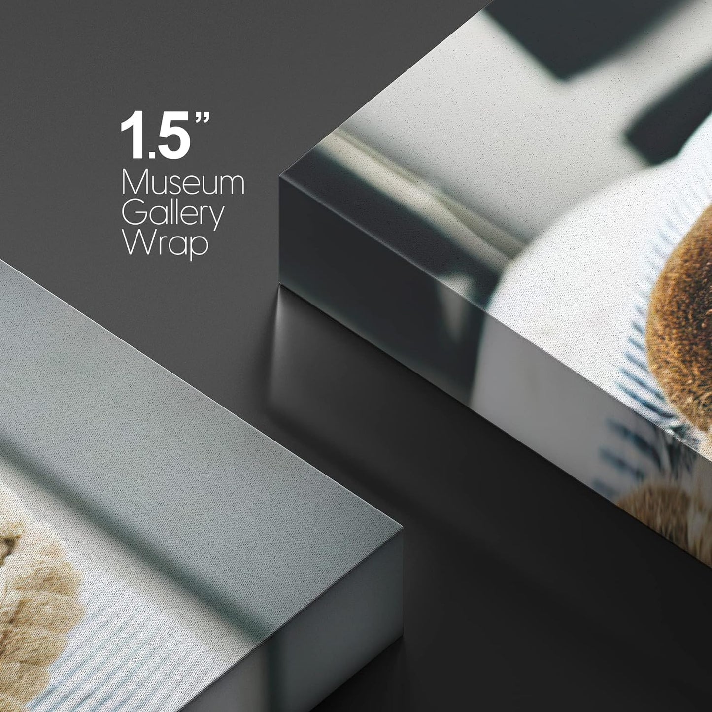 NWT Custom Canvas Prints with Your Photos for Pet/Animal, Personalized Canvas Pictures for Wall to Print Framed 8x10 inches